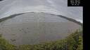 ./images/calvert/beach/20260608/beach20260608_183501M.jpg