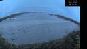./images/calvert/beach/20260609/beach20260609_043501M.jpg