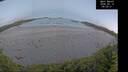 ./images/calvert/beach/20260610/beach20260610_045501M.jpg