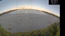 ./images/calvert/beach/20260610/beach20260610_060501M.jpg