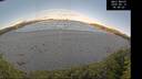 ./images/calvert/beach/20260610/beach20260610_064001M.jpg