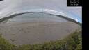 ./images/calvert/beach/20260610/beach20260610_091501M.jpg