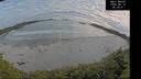 ./images/calvert/beach/20260610/beach20260610_203501M.jpg