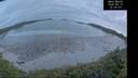./images/calvert/beach/20260610/beach20260610_222002M.jpg