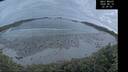 ./images/calvert/beach/20260610/beach20260610_223001M.jpg