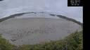 ./images/calvert/beach/20260611/beach20260611_045502M.jpg