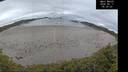 ./images/calvert/beach/20260611/beach20260611_052001M.jpg