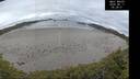 ./images/calvert/beach/20260611/beach20260611_052501M.jpg