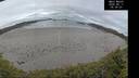 ./images/calvert/beach/20260611/beach20260611_053002M.jpg