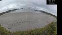 ./images/calvert/beach/20260611/beach20260611_053501M.jpg