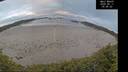 ./images/calvert/beach/20260611/beach20260611_054501M.jpg