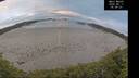 ./images/calvert/beach/20260611/beach20260611_055001M.jpg