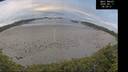./images/calvert/beach/20260611/beach20260611_060001M.jpg