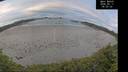 ./images/calvert/beach/20260611/beach20260611_060501M.jpg