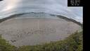 ./images/calvert/beach/20260611/beach20260611_061501M.jpg