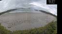 ./images/calvert/beach/20260611/beach20260611_071001M.jpg