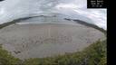 ./images/calvert/beach/20260611/beach20260611_071501M.jpg