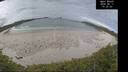 ./images/calvert/beach/20260611/beach20260611_102501M.jpg