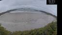 ./images/calvert/beach/20260628/beach20260628_050001M.jpg