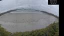 ./images/calvert/beach/20260628/beach20260628_050501M.jpg