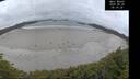 ./images/calvert/beach/20260628/beach20260628_051001M.jpg