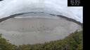 ./images/calvert/beach/20260628/beach20260628_051501M.jpg