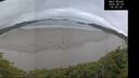 ./images/calvert/beach/20260629/beach20260629_050501M.jpg