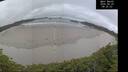 ./images/calvert/beach/20260629/beach20260629_082501M.jpg
