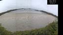 ./images/calvert/beach/20260702/beach20260702_085501M.jpg
