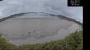 ./images/calvert/beach/20260711/beach20260711_052002M.jpg
