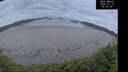 ./images/calvert/beach/20260712/beach20260712_050501M.jpg
