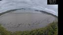 ./images/calvert/beach/20260712/beach20260712_051002M.jpg
