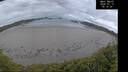 ./images/calvert/beach/20260712/beach20260712_051501M.jpg