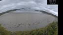 ./images/calvert/beach/20260712/beach20260712_052001M.jpg