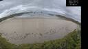 ./images/calvert/beach/20260712/beach20260712_074501M.jpg