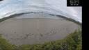 ./images/calvert/beach/20260712/beach20260712_081501M.jpg