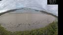 ./images/calvert/beach/20260712/beach20260712_083501M.jpg