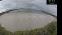 ./images/calvert/beach/20260728/beach20260728_105501M.jpg