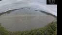./images/calvert/beach/20260810/beach20260810_120001M.jpg