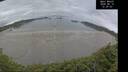 ./images/calvert/beach/20260810/beach20260810_122001M.jpg