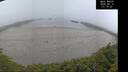 ./images/calvert/beach/20260815/beach20260815_071001M.jpg