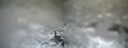 ./images/calvert/buxton1/20140220/buxton120140220_123503M.jpg