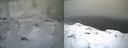 ./images/calvert/buxton1/20150403/buxton120150403_081003M.jpg