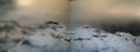 ./images/calvert/buxton1/20151115/buxton120151115_080503M.jpg