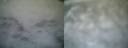 ./images/calvert/buxton1/20161231/buxton120161231_081542.jpg