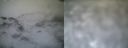 ./images/calvert/buxton1/20161231/buxton120161231_084042.jpg