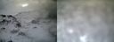 ./images/calvert/buxton1/20161231/buxton120161231_085542.jpg