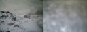 ./images/calvert/buxton1/20161231/buxton120161231_090042.jpg