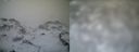 ./images/calvert/buxton1/20161231/buxton120161231_101542.jpg