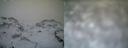 ./images/calvert/buxton1/20161231/buxton120161231_102042.jpg
